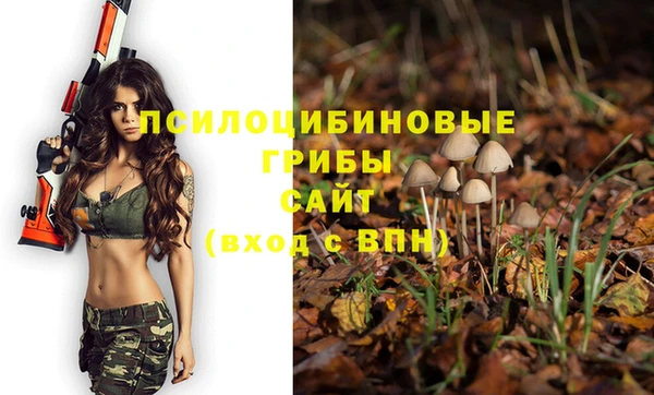MESCALINE Гусев