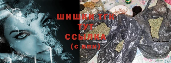 амф Дмитриев