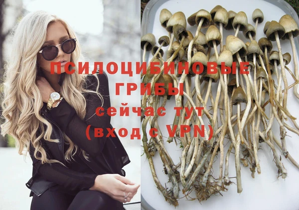спиды Гусиноозёрск