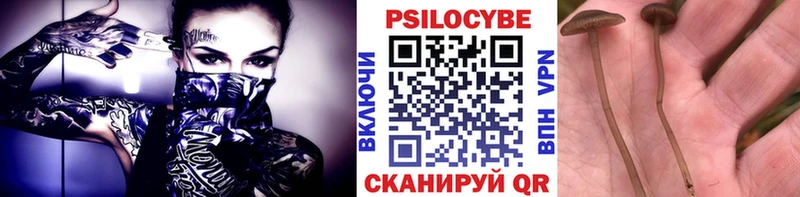Галлюциногенные грибы мухоморы  Купить где  Карабаново 